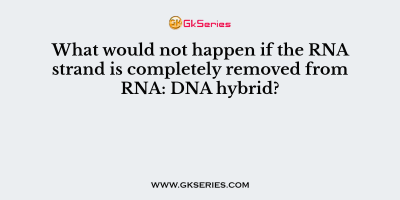 What would not happen if the RNA strand is completely removed from RNA: DNA hybrid?