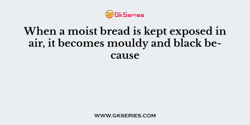 When a moist bread is kept exposed in air, it becomes mouldy and black because