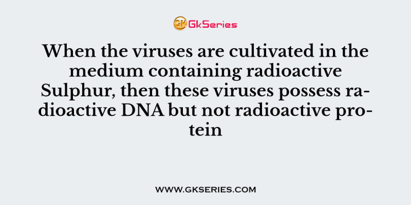 When the viruses are cultivated in the medium containing radioactive Sulphur, then these viruses possess radioactive DNA but not radioactive protein