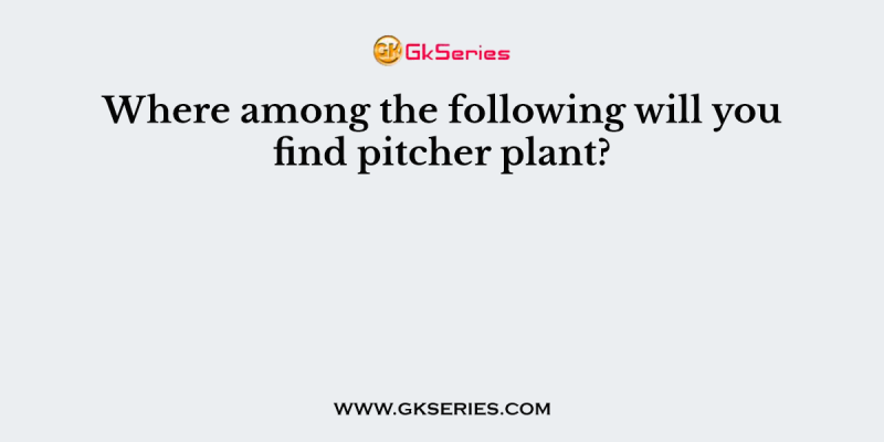 Where among the following will you find pitcher plant?