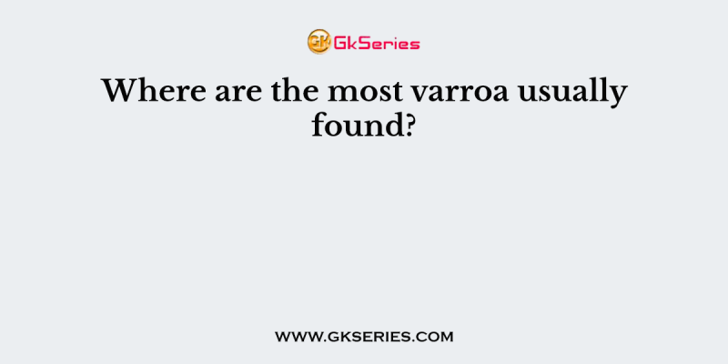 Where are the most varroa usually found?