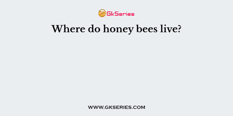 Where do honey bees live?