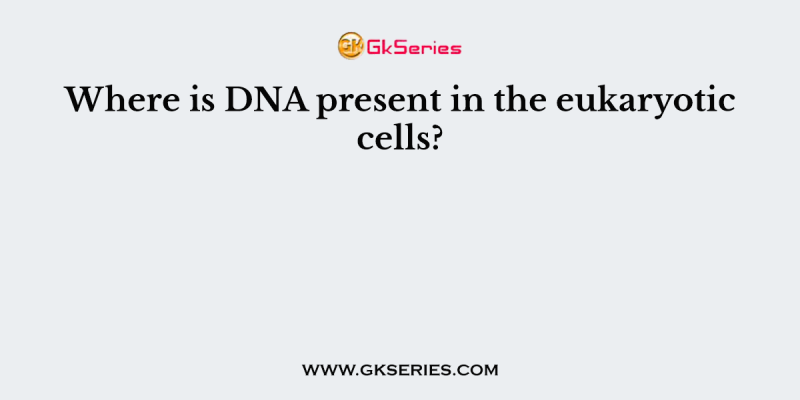 Where is DNA present in the eukaryotic cells?
