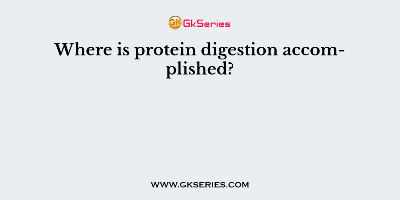 Where is protein digestion accomplished?