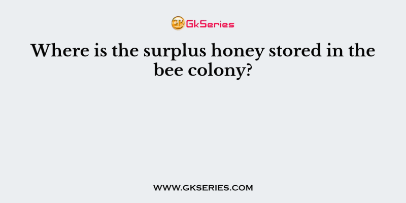 Where is the surplus honey stored in the bee colony?