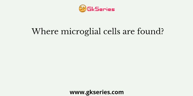 Where microglial cells are found?