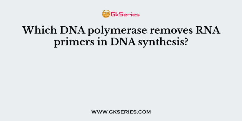 Which DNA polymerase removes RNA primers in DNA synthesis?