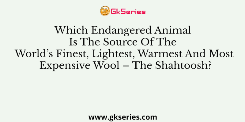 Which Endangered Animal Is The Source Of The World’s Finest, Lightest, Warmest And Most Expensive Wool – The Shahtoosh?