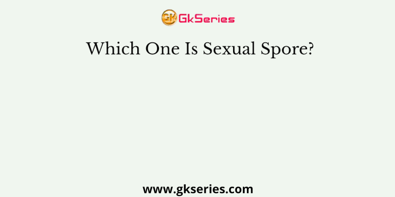 Which One Is Sexual Spore?