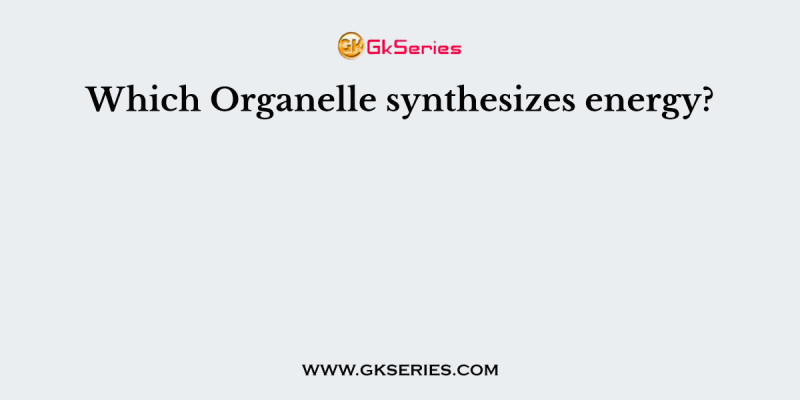 Which Organelle synthesizes energy?