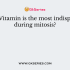 Which vitamin is synthesized by intestinal Bacteria ?