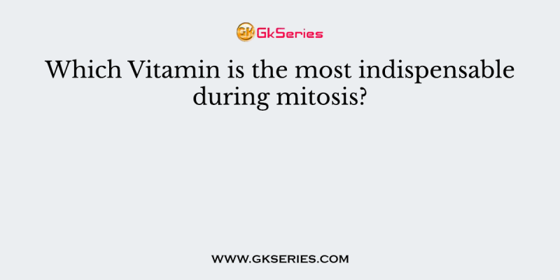 Which Vitamin is the most indispensable during mitosis?
