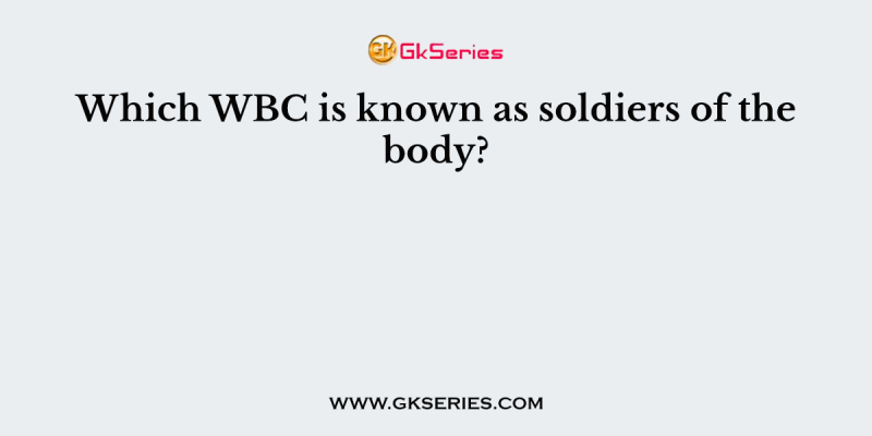 Which WBC is known as soldiers of the body?