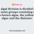 Which of the following algal divisions is characterized by possession of chlorophylls A and B, starch as the energy storage material, cellulosic cell walls and live in freshwater and marine habitats?
