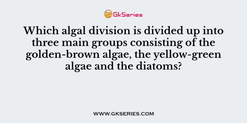 Which algal division is divided up into three main groups consisting of the golden-brown algae, the yellow-green algae and the diatoms?