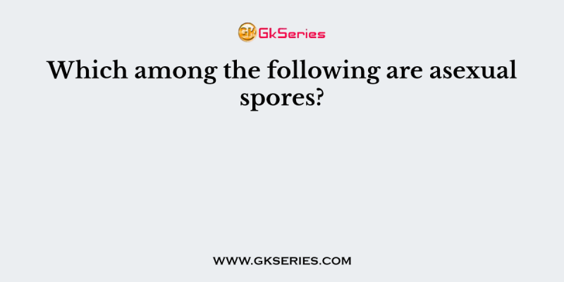Which among the following are asexual spores?