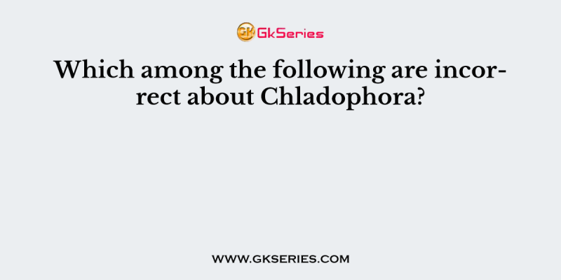 Which among the following are incorrect about Chladophora?