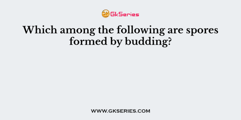 Which among the following are spores formed by budding?