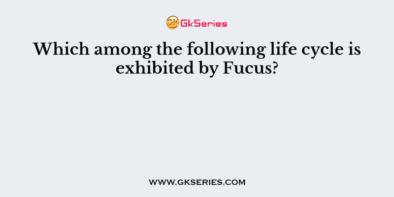 Which among the following life cycle is exhibited by Fucus?