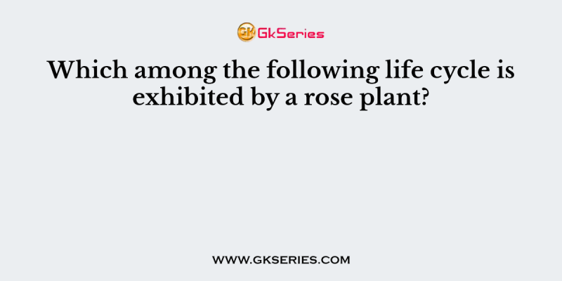 Which among the following life cycle is exhibited by a rose plant?