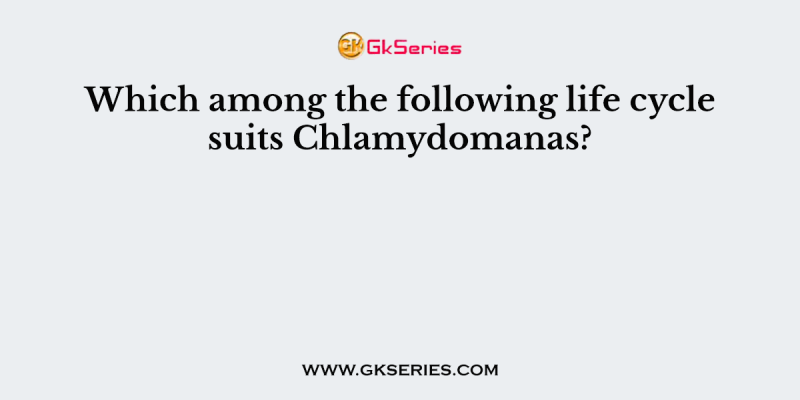 Which among the following life cycle suits Chlamydomanas?