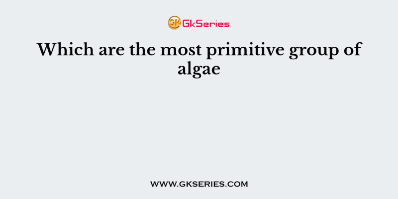 Which are the most primitive group of algae
