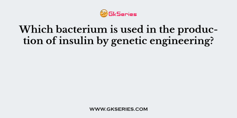 Which bacterium is used in the production of insulin by genetic engineering?