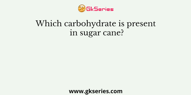 Which carbohydrate is present in sugar cane?