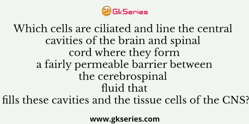 Which cells are ciliated and line the central cavities of the brain and spinal cord where they form a fairly permeable barrier between the cerebrospinal fluid that fills these cavities and the tissue cells of the CNS?