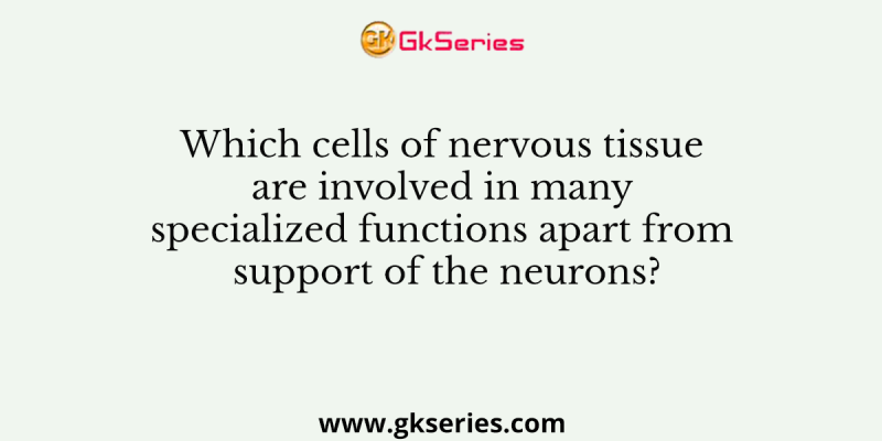 Which cells of nervous tissue are involved in many specialized functions apart from support of the neurons?