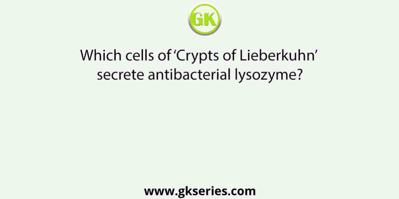 Which cells of ‘Crypts of Lieberkuhn’ secrete antibacterial lysozyme?