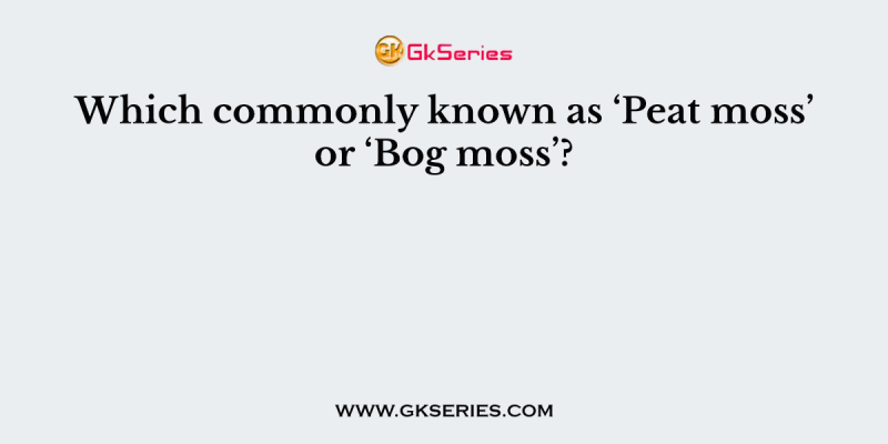 Which commonly known as ‘Peat moss’ or ‘Bog moss’?
