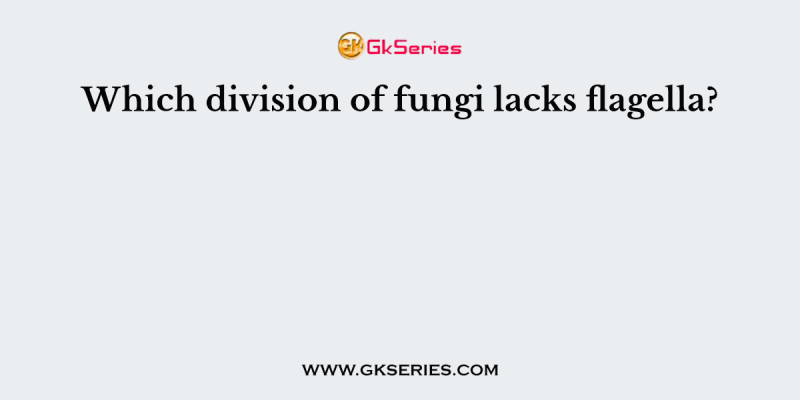 Which division of fungi lacks flagella?