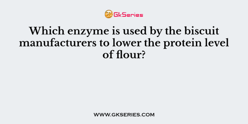 Which enzyme is used by the biscuit manufacturers to lower the protein level of flour?