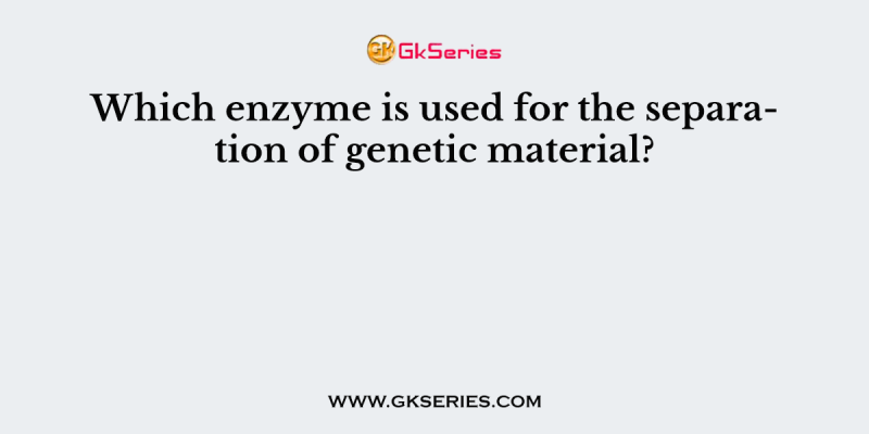 Which enzyme is used for the separation of genetic material?