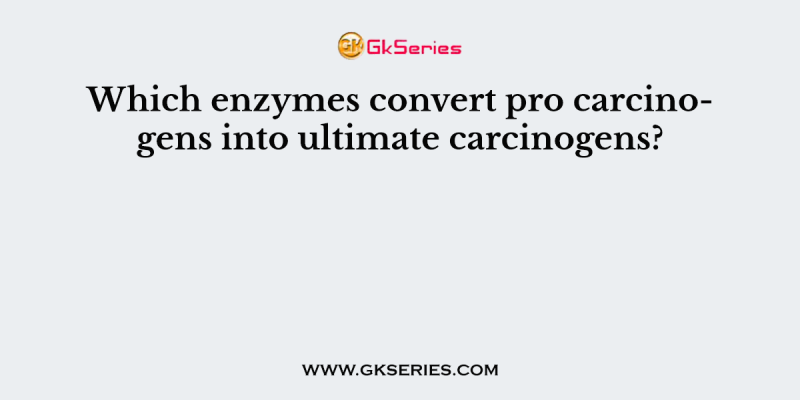 Which enzymes convert procarcinogens into ultimate carcinogens?