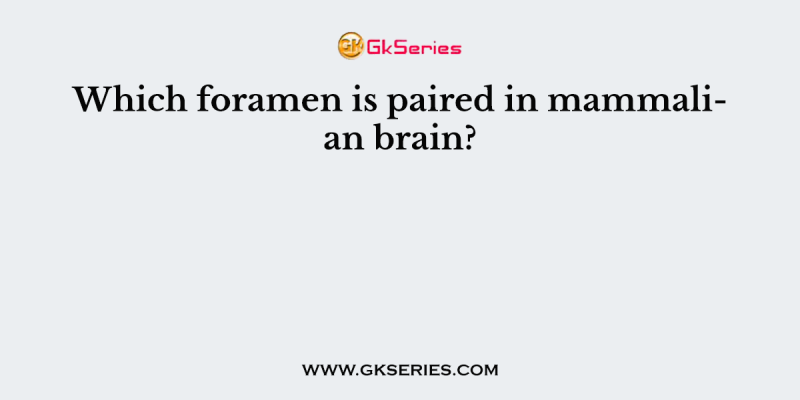 Which foramen is paired in mammalian brain?