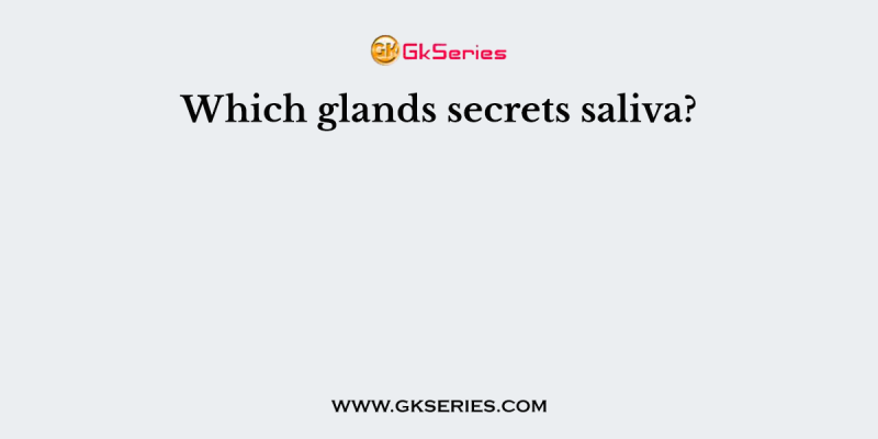 Which glands secrets saliva?
