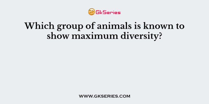 Which group of animals is known to show maximum diversity?
