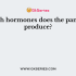 Which statement is NOT CORRECT about hormones?