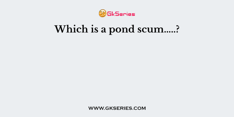Which is a pond scum…..?