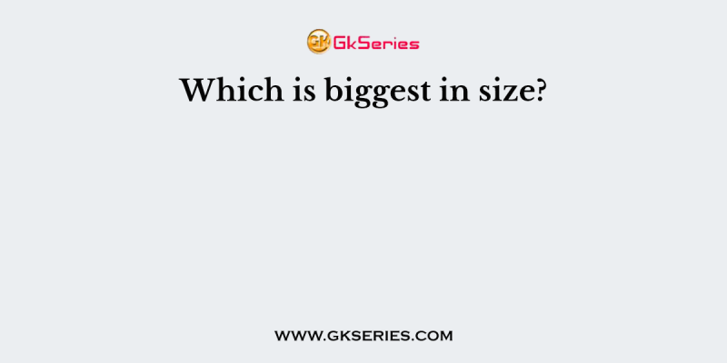 Which is biggest in size?