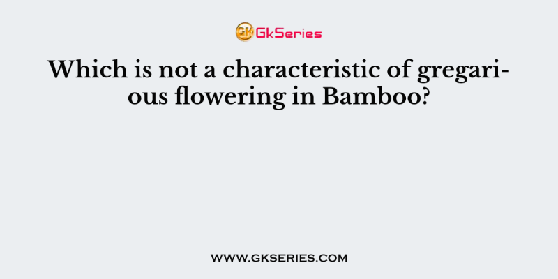 Which is not a characteristic of gregarious flowering in Bamboo?