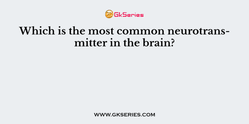 Which is the most common neurotransmitter in the brain?