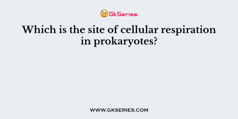 Which is the site of cellular respiration in prokaryotes?