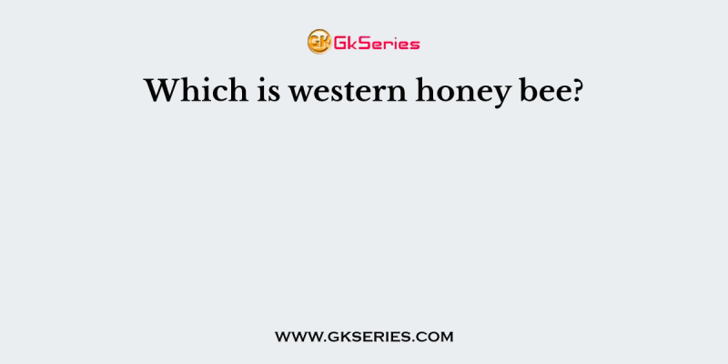 Which is western honey bee?