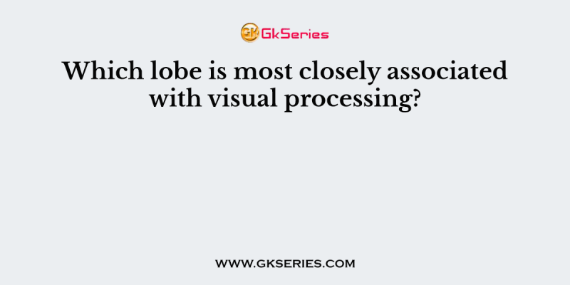 Which lobe is most closely associated with visual processing?