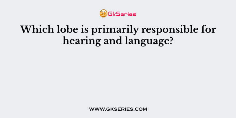 Which lobe is primarily responsible for hearing and language?