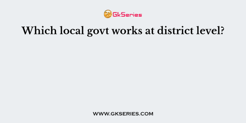 Which local govt works at district level?