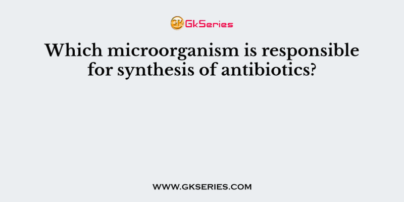 Which microorganism is responsible for synthesis of antibiotics?